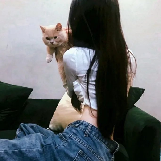 摇晃之地